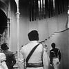 CINDERELLA_0267.jpg