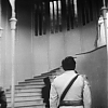 CINDERELLA_0270.jpg