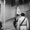 CINDERELLA_0295.jpg