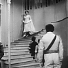 CINDERELLA_0297.jpg