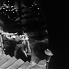 CINDERELLA_0557.jpg
