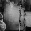CINDERELLA_0595.jpg