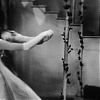CINDERELLA_0596.jpg