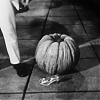 CINDERELLA_1165.jpg