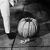CINDERELLA_1167.jpg