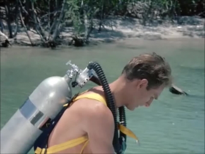FLIPPER_-_E1X07_COUNTDOWN_FOR_FLIPPER_0017.jpg