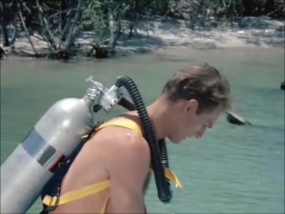 FLIPPER_-_E1X07_COUNTDOWN_FOR_FLIPPER_0018.jpg