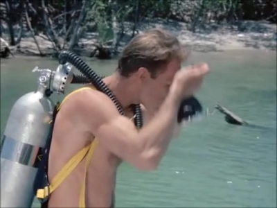 FLIPPER_-_E1X07_COUNTDOWN_FOR_FLIPPER_0022.jpg