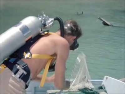 FLIPPER_-_E1X07_COUNTDOWN_FOR_FLIPPER_0040.jpg