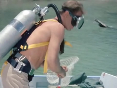 FLIPPER_-_E1X07_COUNTDOWN_FOR_FLIPPER_0042.jpg