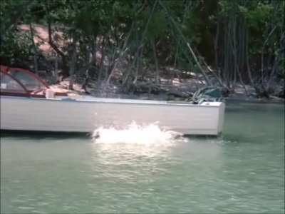 FLIPPER_-_E1X07_COUNTDOWN_FOR_FLIPPER_0079.jpg