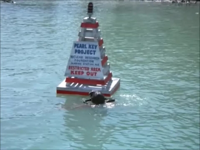 FLIPPER_-_E1X07_COUNTDOWN_FOR_FLIPPER_0080.jpg