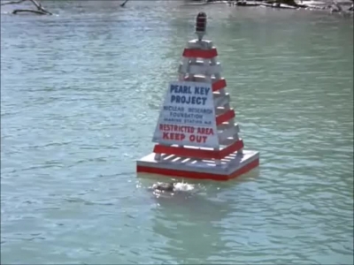 FLIPPER_-_E1X07_COUNTDOWN_FOR_FLIPPER_0131.jpg