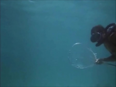 FLIPPER_-_E1X07_COUNTDOWN_FOR_FLIPPER_0135.jpg
