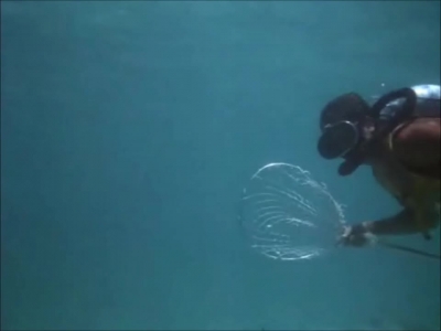 FLIPPER_-_E1X07_COUNTDOWN_FOR_FLIPPER_0136.jpg