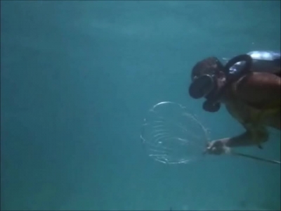 FLIPPER_-_E1X07_COUNTDOWN_FOR_FLIPPER_0137.jpg