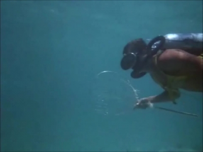 FLIPPER_-_E1X07_COUNTDOWN_FOR_FLIPPER_0138.jpg