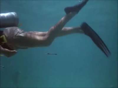FLIPPER_-_E1X07_COUNTDOWN_FOR_FLIPPER_0153.jpg