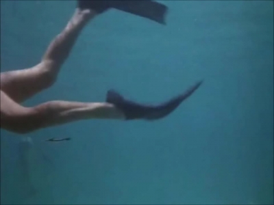 FLIPPER_-_E1X07_COUNTDOWN_FOR_FLIPPER_0155.jpg