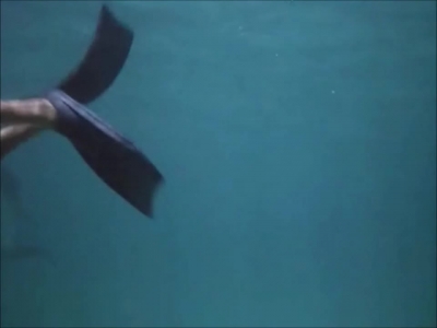 FLIPPER_-_E1X07_COUNTDOWN_FOR_FLIPPER_0157.jpg