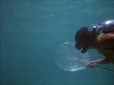 FLIPPER_-_E1X07_COUNTDOWN_FOR_FLIPPER_0158.jpg