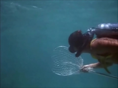 FLIPPER_-_E1X07_COUNTDOWN_FOR_FLIPPER_0159.jpg