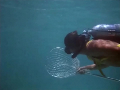 FLIPPER_-_E1X07_COUNTDOWN_FOR_FLIPPER_0160.jpg