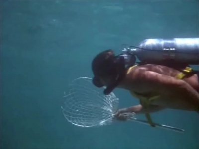 FLIPPER_-_E1X07_COUNTDOWN_FOR_FLIPPER_0161.jpg