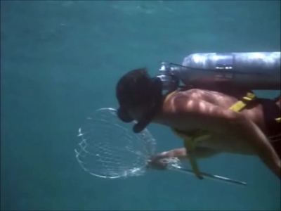 FLIPPER_-_E1X07_COUNTDOWN_FOR_FLIPPER_0162.jpg