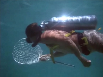 FLIPPER_-_E1X07_COUNTDOWN_FOR_FLIPPER_0164.jpg