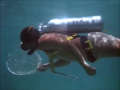 FLIPPER_-_E1X07_COUNTDOWN_FOR_FLIPPER_0165.jpg