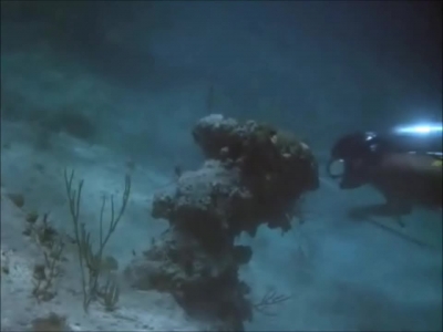 FLIPPER_-_E1X07_COUNTDOWN_FOR_FLIPPER_0176.jpg