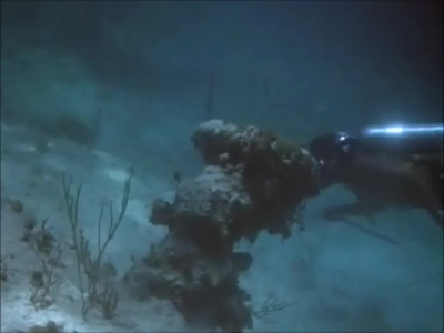 FLIPPER_-_E1X07_COUNTDOWN_FOR_FLIPPER_0177.jpg