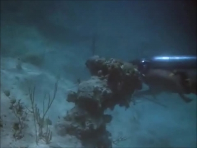 FLIPPER_-_E1X07_COUNTDOWN_FOR_FLIPPER_0178.jpg