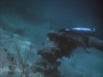 FLIPPER_-_E1X07_COUNTDOWN_FOR_FLIPPER_0180.jpg