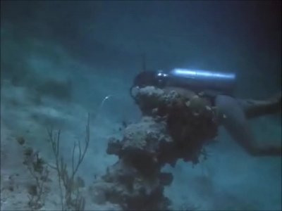 FLIPPER_-_E1X07_COUNTDOWN_FOR_FLIPPER_0182.jpg