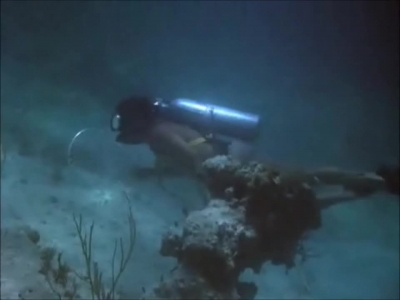 FLIPPER_-_E1X07_COUNTDOWN_FOR_FLIPPER_0185.jpg