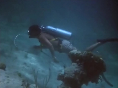 FLIPPER_-_E1X07_COUNTDOWN_FOR_FLIPPER_0187.jpg
