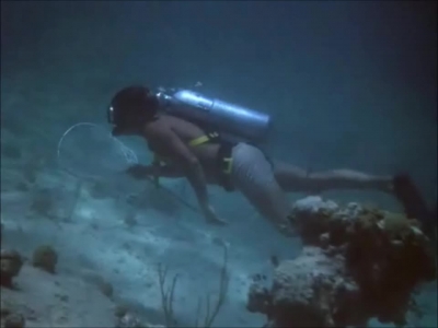 FLIPPER_-_E1X07_COUNTDOWN_FOR_FLIPPER_0188.jpg