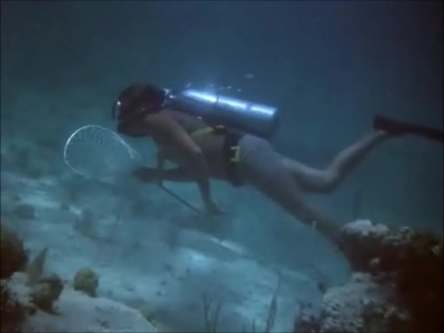 FLIPPER_-_E1X07_COUNTDOWN_FOR_FLIPPER_0189.jpg