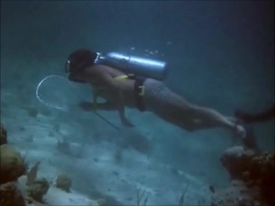 FLIPPER_-_E1X07_COUNTDOWN_FOR_FLIPPER_0190.jpg