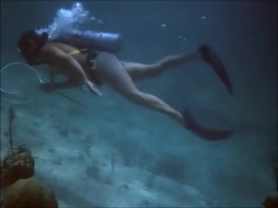 FLIPPER_-_E1X07_COUNTDOWN_FOR_FLIPPER_0193.jpg