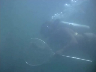 FLIPPER_-_E1X07_COUNTDOWN_FOR_FLIPPER_0195.jpg