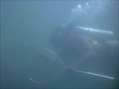 FLIPPER_-_E1X07_COUNTDOWN_FOR_FLIPPER_0196.jpg