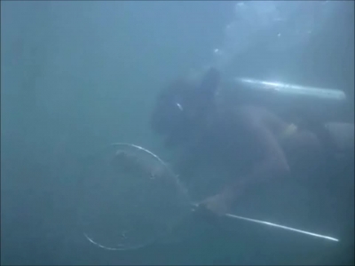 FLIPPER_-_E1X07_COUNTDOWN_FOR_FLIPPER_0197.jpg