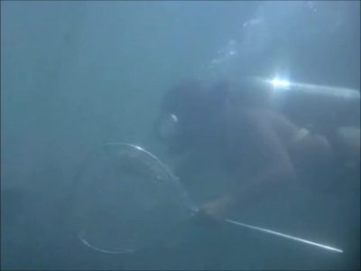 FLIPPER_-_E1X07_COUNTDOWN_FOR_FLIPPER_0198.jpg