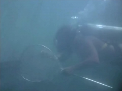 FLIPPER_-_E1X07_COUNTDOWN_FOR_FLIPPER_0199.jpg