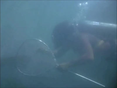 FLIPPER_-_E1X07_COUNTDOWN_FOR_FLIPPER_0200.jpg