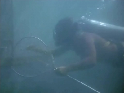 FLIPPER_-_E1X07_COUNTDOWN_FOR_FLIPPER_0202.jpg