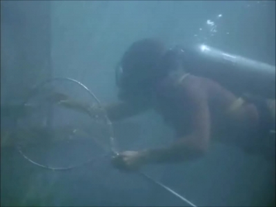 FLIPPER_-_E1X07_COUNTDOWN_FOR_FLIPPER_0203.jpg